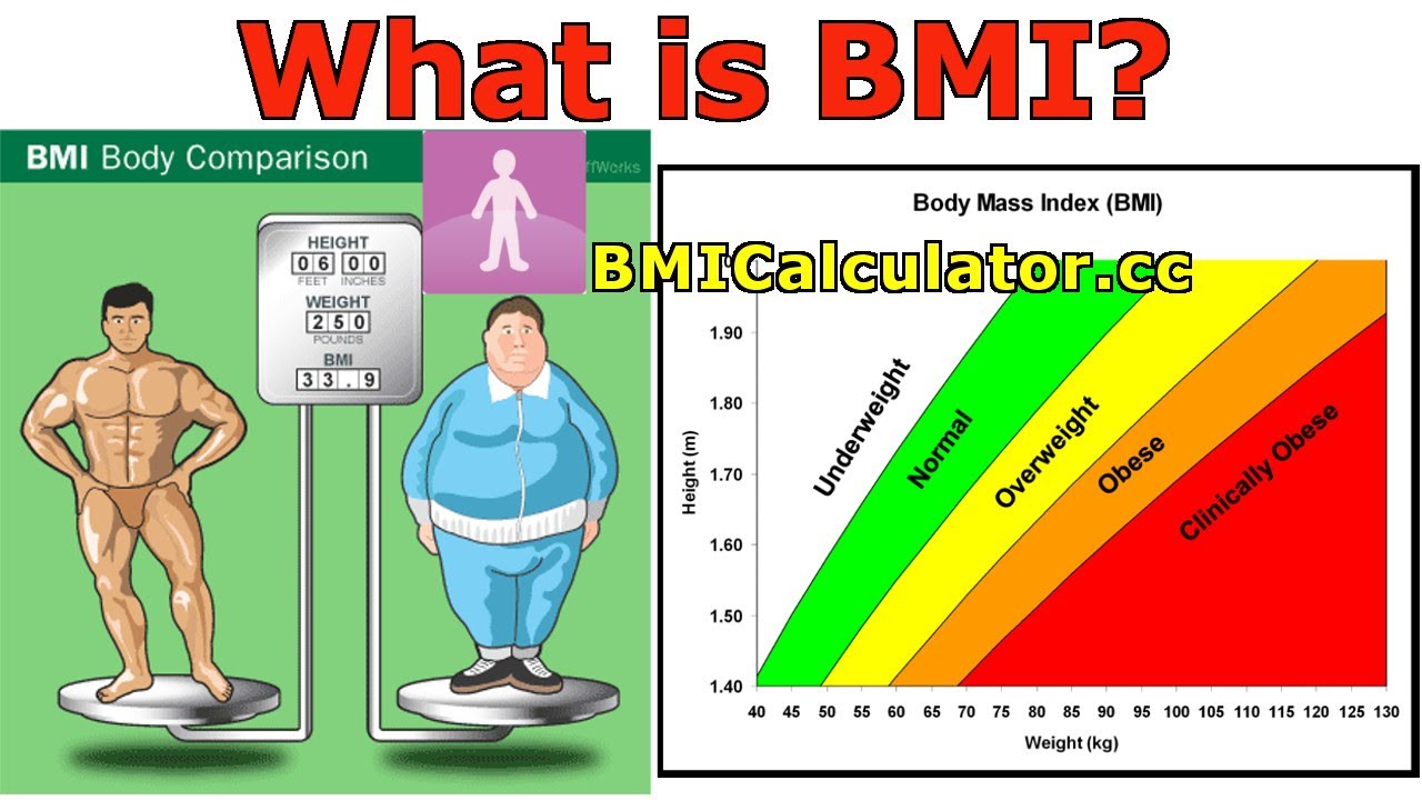 Calcolo Del BMI Vivo Di Benessere