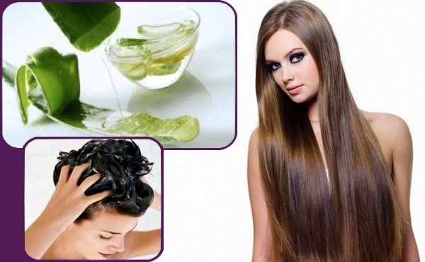 5 rimedi naturali per infoltire i capelli - Vivo di Benessere