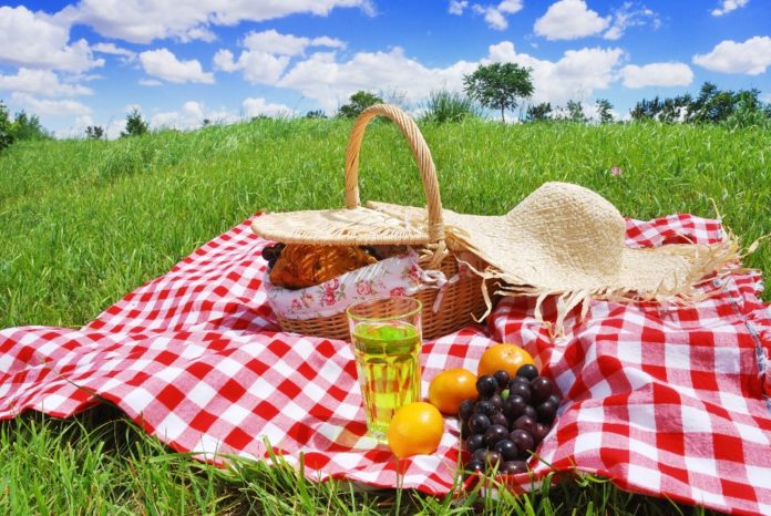 Piatti e panini da preparare per un pic nic