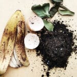 Come avere piante sempre belle con il compost fai da te!