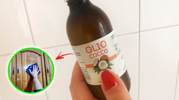 olio-cocco-pulizie