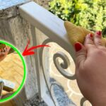 Come pulire bene tutto il Balcone prima della Primavera?