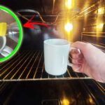 Il Metodo della tazza per togliere tutto lo sporco dal forno e dal microonde!