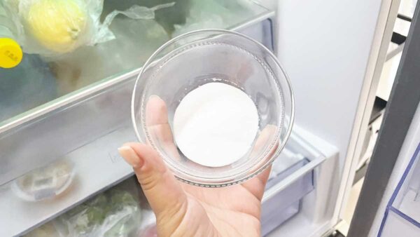 bicarbonato-frigorifero