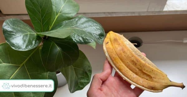 5 cose che pulisco con le bucce di banana